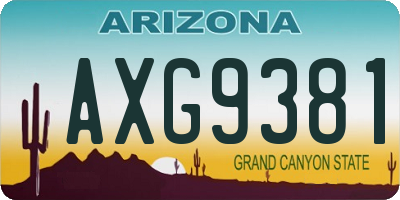 AZ license plate AXG9381