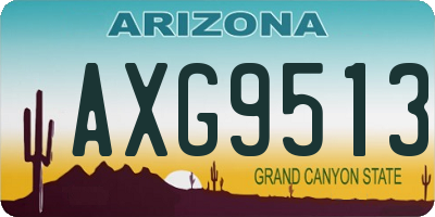 AZ license plate AXG9513