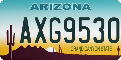 AZ license plate AXG9530