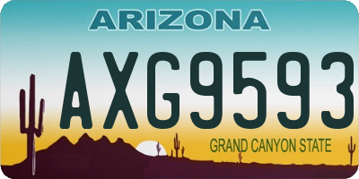 AZ license plate AXG9593
