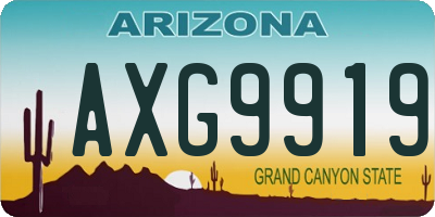 AZ license plate AXG9919