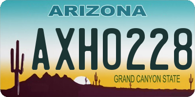 AZ license plate AXH0228