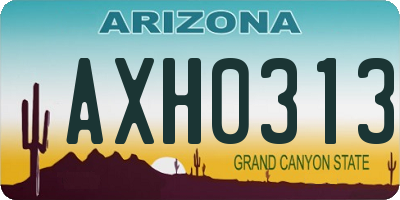 AZ license plate AXH0313