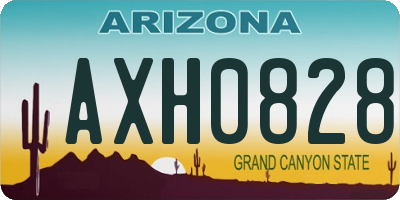 AZ license plate AXH0828
