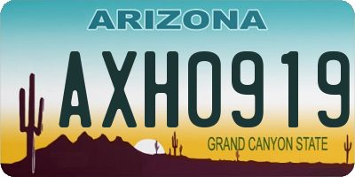 AZ license plate AXH0919