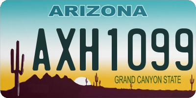AZ license plate AXH1099