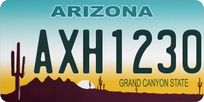 AZ license plate AXH1230