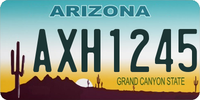 AZ license plate AXH1245