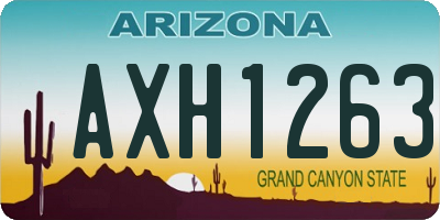 AZ license plate AXH1263