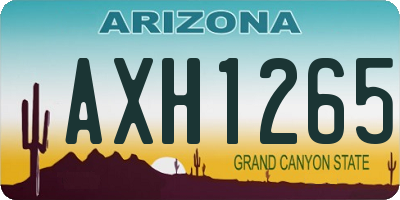 AZ license plate AXH1265