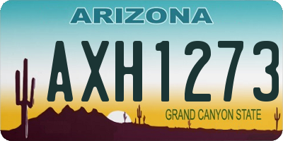 AZ license plate AXH1273