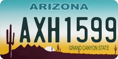 AZ license plate AXH1599