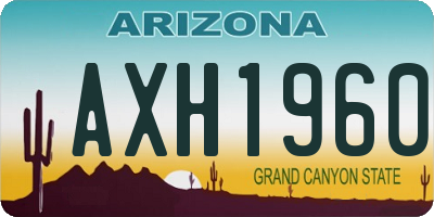 AZ license plate AXH1960