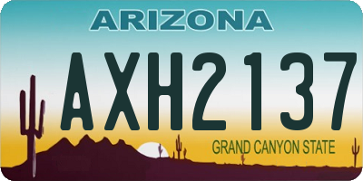 AZ license plate AXH2137