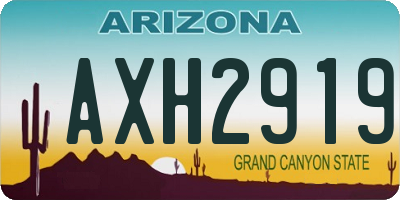 AZ license plate AXH2919