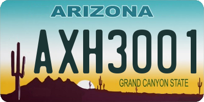 AZ license plate AXH3001