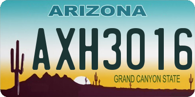 AZ license plate AXH3016
