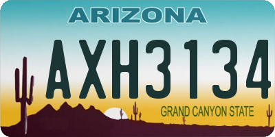 AZ license plate AXH3134