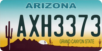 AZ license plate AXH3373