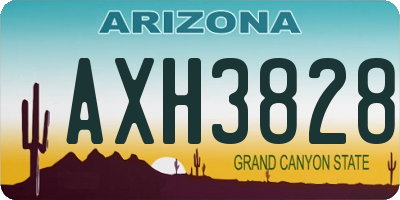 AZ license plate AXH3828