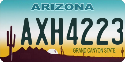 AZ license plate AXH4223