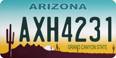 AZ license plate AXH4231