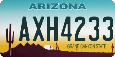 AZ license plate AXH4233