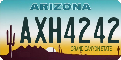 AZ license plate AXH4242