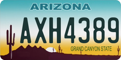 AZ license plate AXH4389