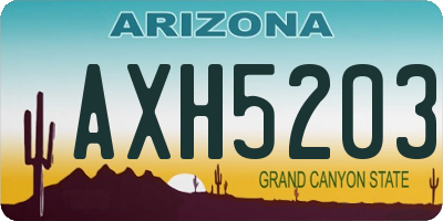 AZ license plate AXH5203