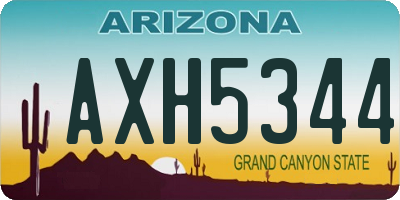 AZ license plate AXH5344