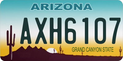 AZ license plate AXH6107