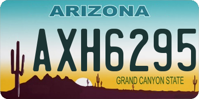 AZ license plate AXH6295