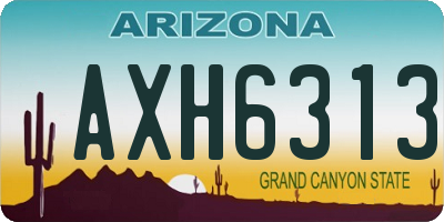 AZ license plate AXH6313