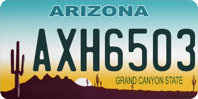 AZ license plate AXH6503