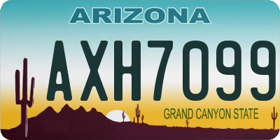 AZ license plate AXH7099