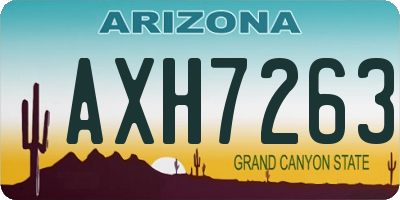 AZ license plate AXH7263