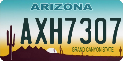 AZ license plate AXH7307