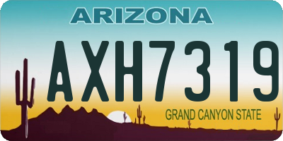AZ license plate AXH7319