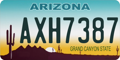 AZ license plate AXH7387