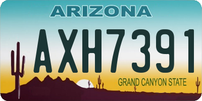 AZ license plate AXH7391