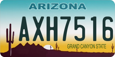 AZ license plate AXH7516
