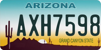 AZ license plate AXH7598