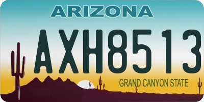 AZ license plate AXH8513
