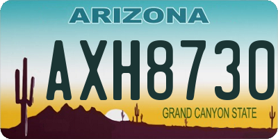 AZ license plate AXH8730