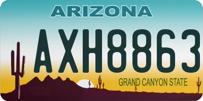 AZ license plate AXH8863