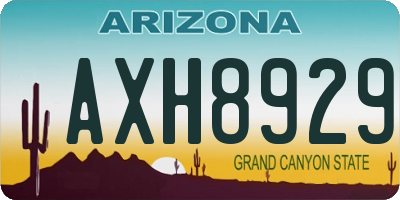 AZ license plate AXH8929