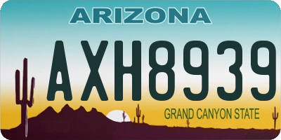 AZ license plate AXH8939
