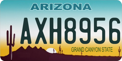 AZ license plate AXH8956