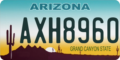 AZ license plate AXH8960